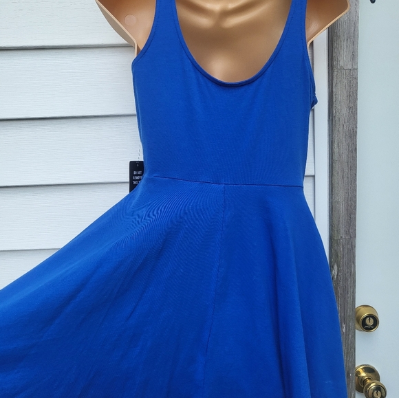 Express: Skater Dress in Small - Picture 6 of 10